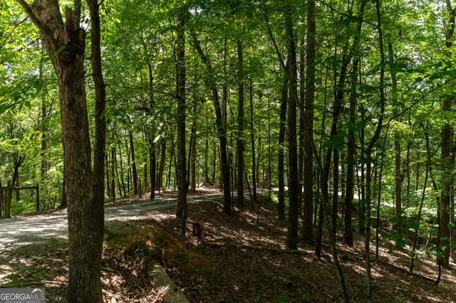 $795,000 | 1427 Cherry Lake Drive, Blue Ridge, GA 30513