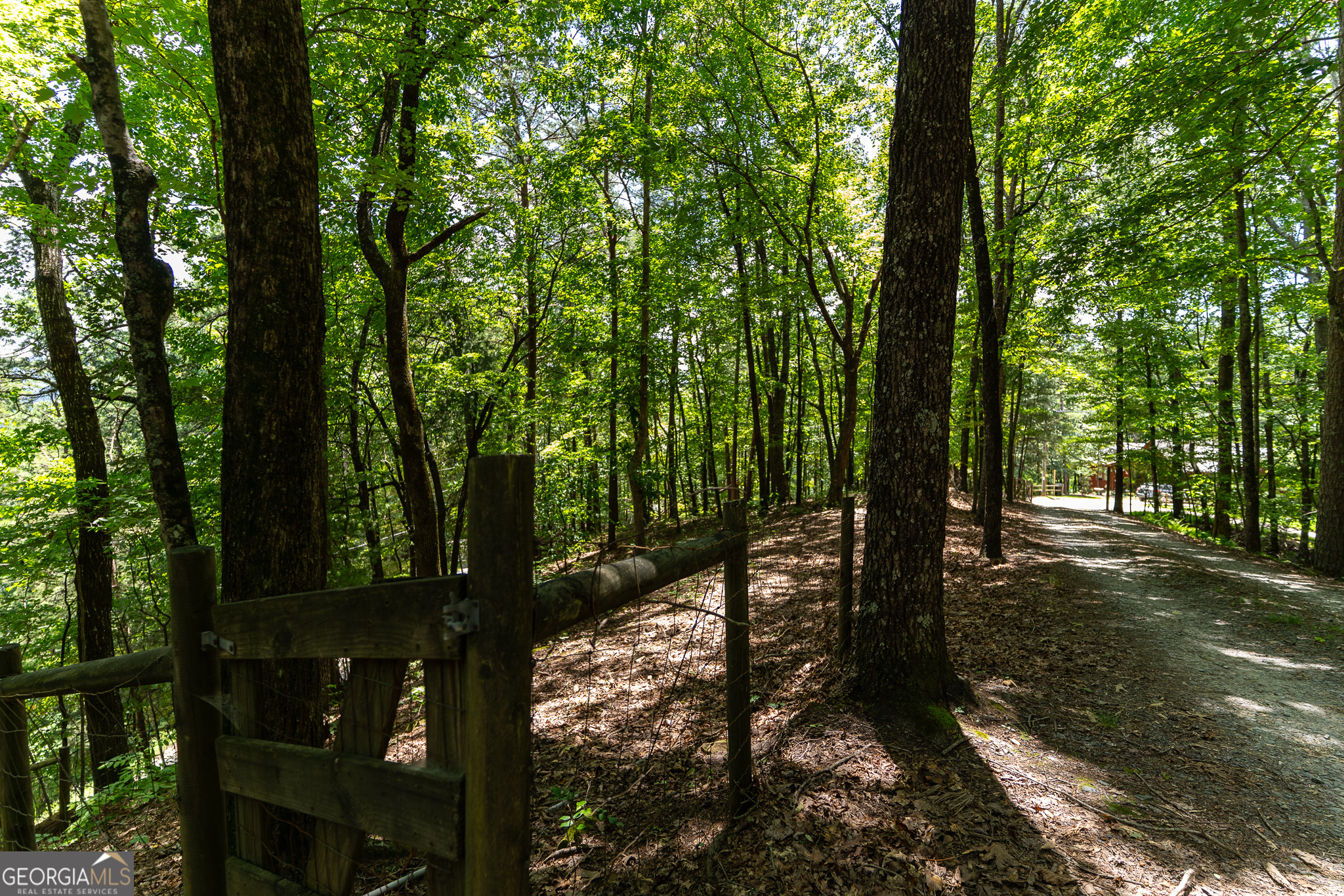 1427 Cherry Lake Drive Blue Ridge, GA 30513 - Photo 58 of 89