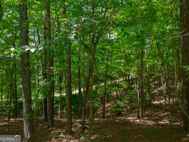 $795,000 | 1427 Cherry Lake Drive, Blue Ridge, GA 30513