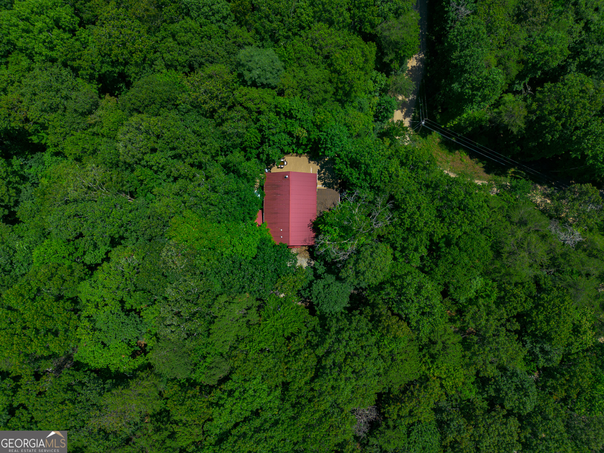 1427 Cherry Lake Drive Blue Ridge, GA 30513 - Photo 62 of 89 an aerial view of a house with a yard and large trees
