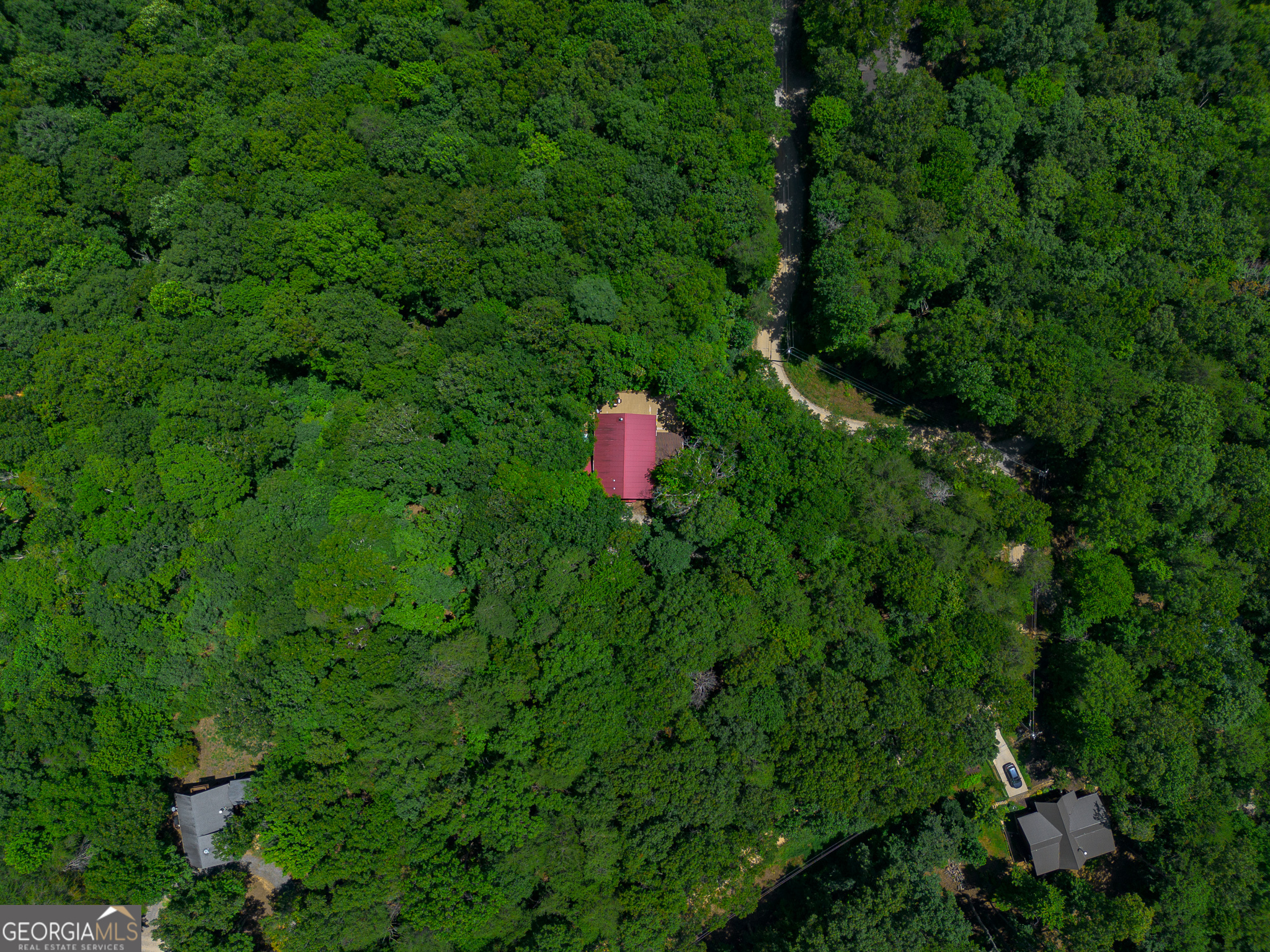 1427 Cherry Lake Drive Blue Ridge, GA 30513 - Photo 63 of 89