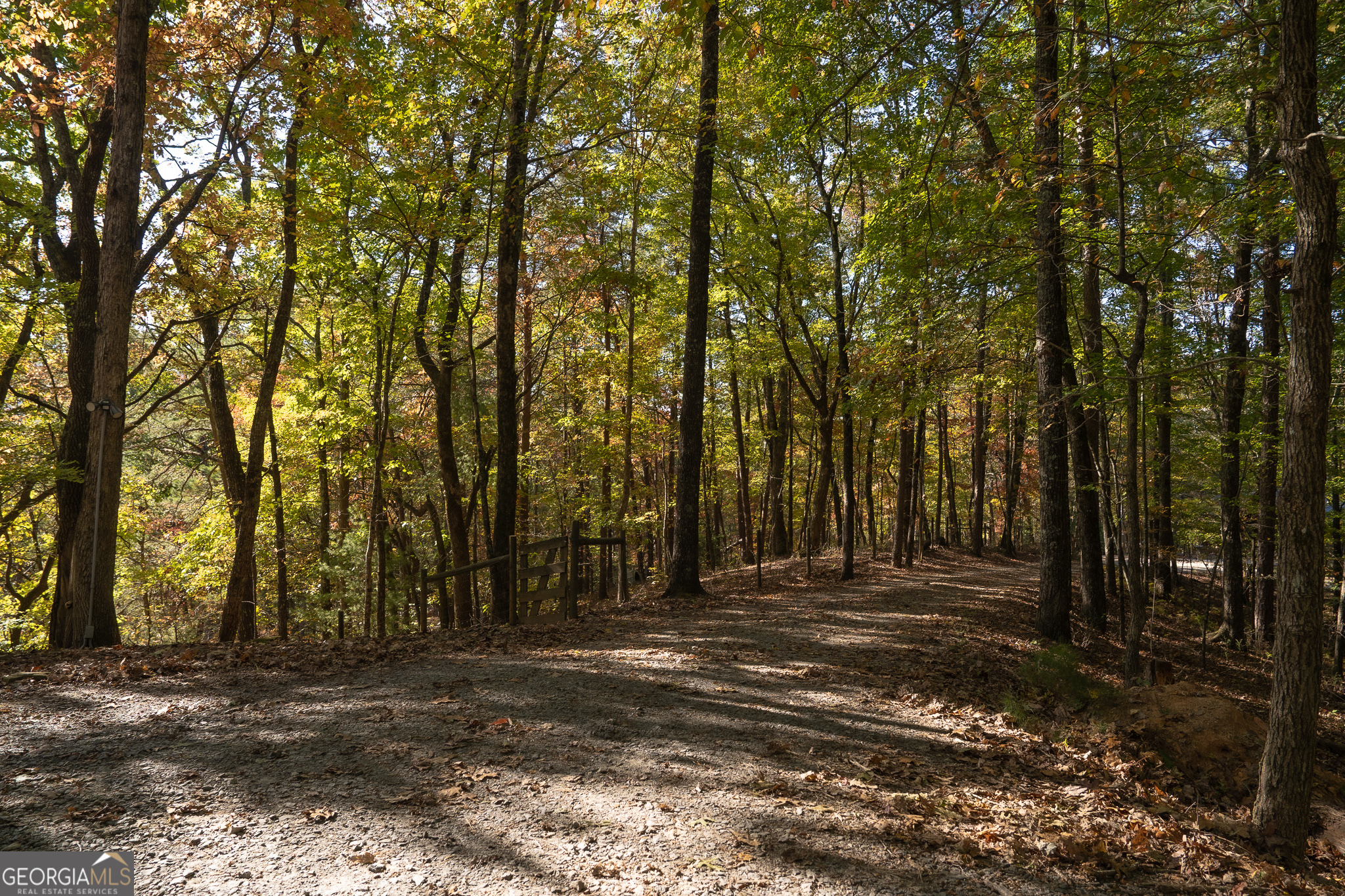1427 Cherry Lake Drive Blue Ridge, GA 30513 - Photo 68 of 89 a view of outdoor space with deck and tree
