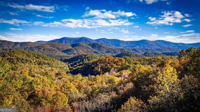 a view of a big dining room with furniture window and wooden floor