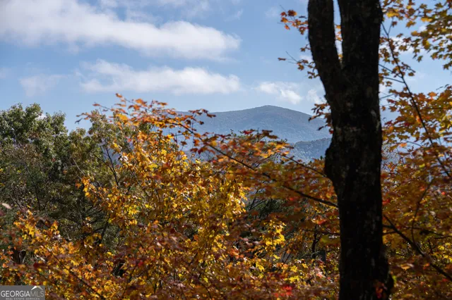 $795,000 | 1427 Cherry Lake Drive, Blue Ridge, GA 30513