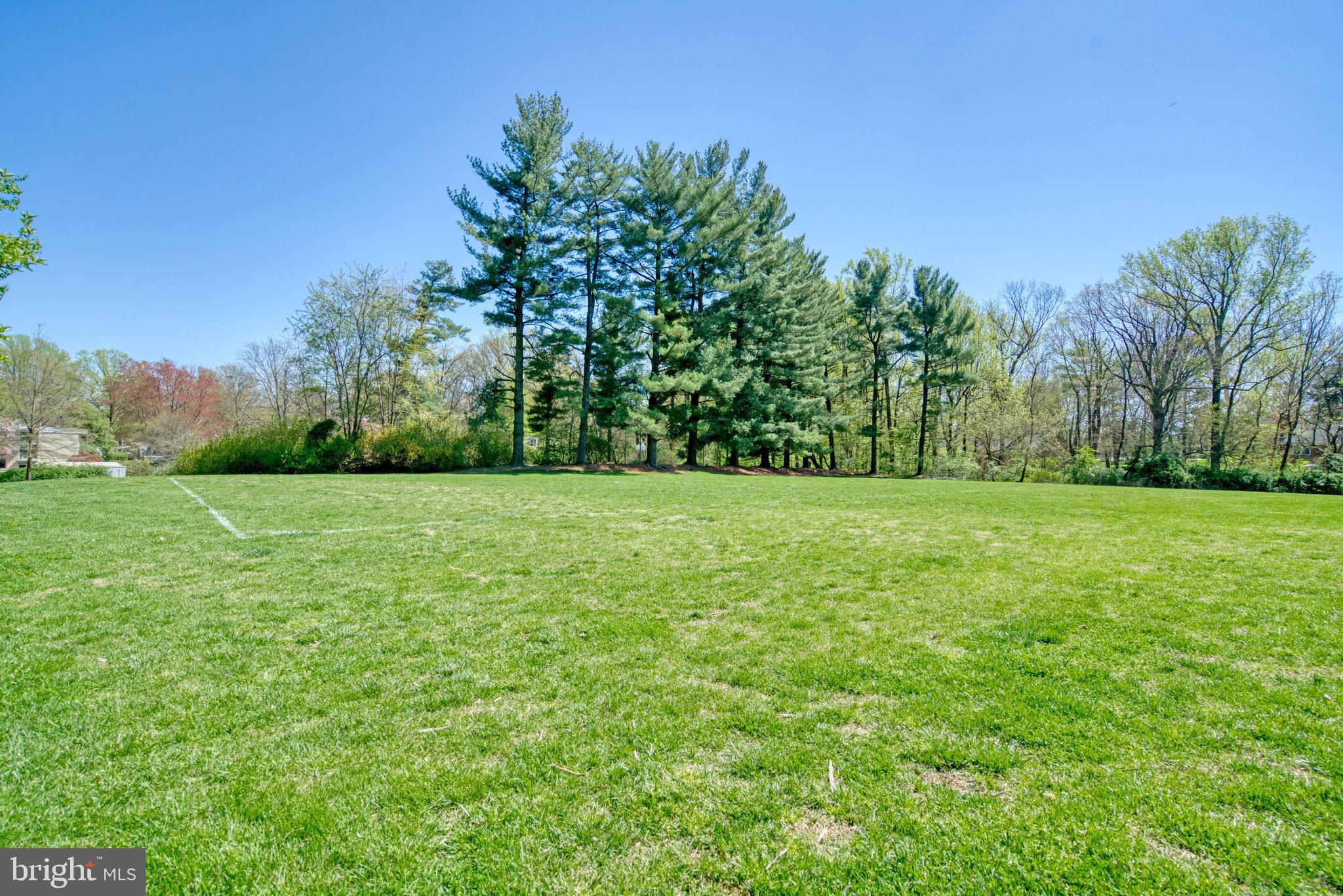 1713 Wainwright Drive Reston, VA 20190 - Photo 33 of 67