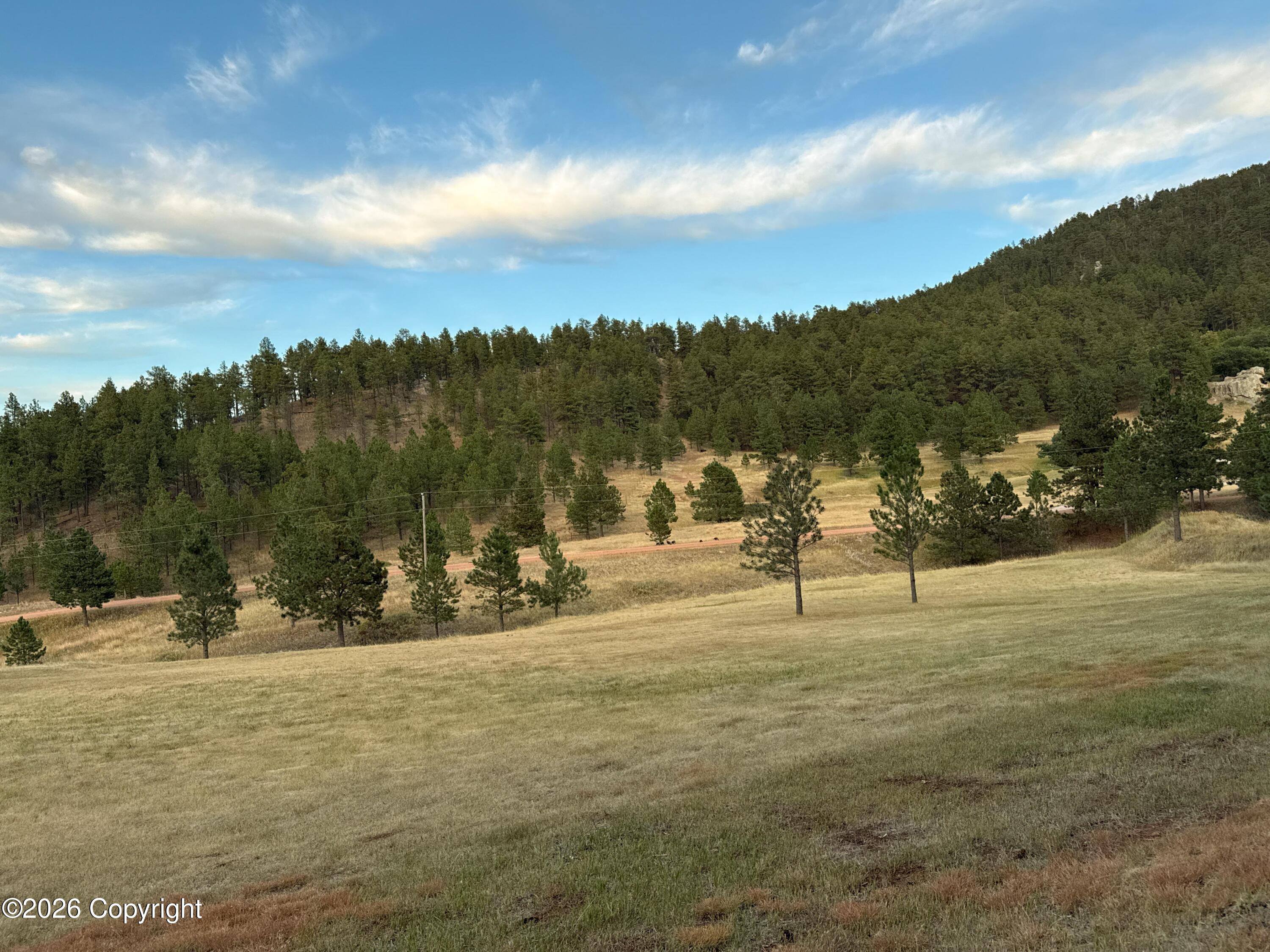 272 Canyon Springs Road Sundance, WY 82729 - Photo 12 of 56 Gallery Image 12