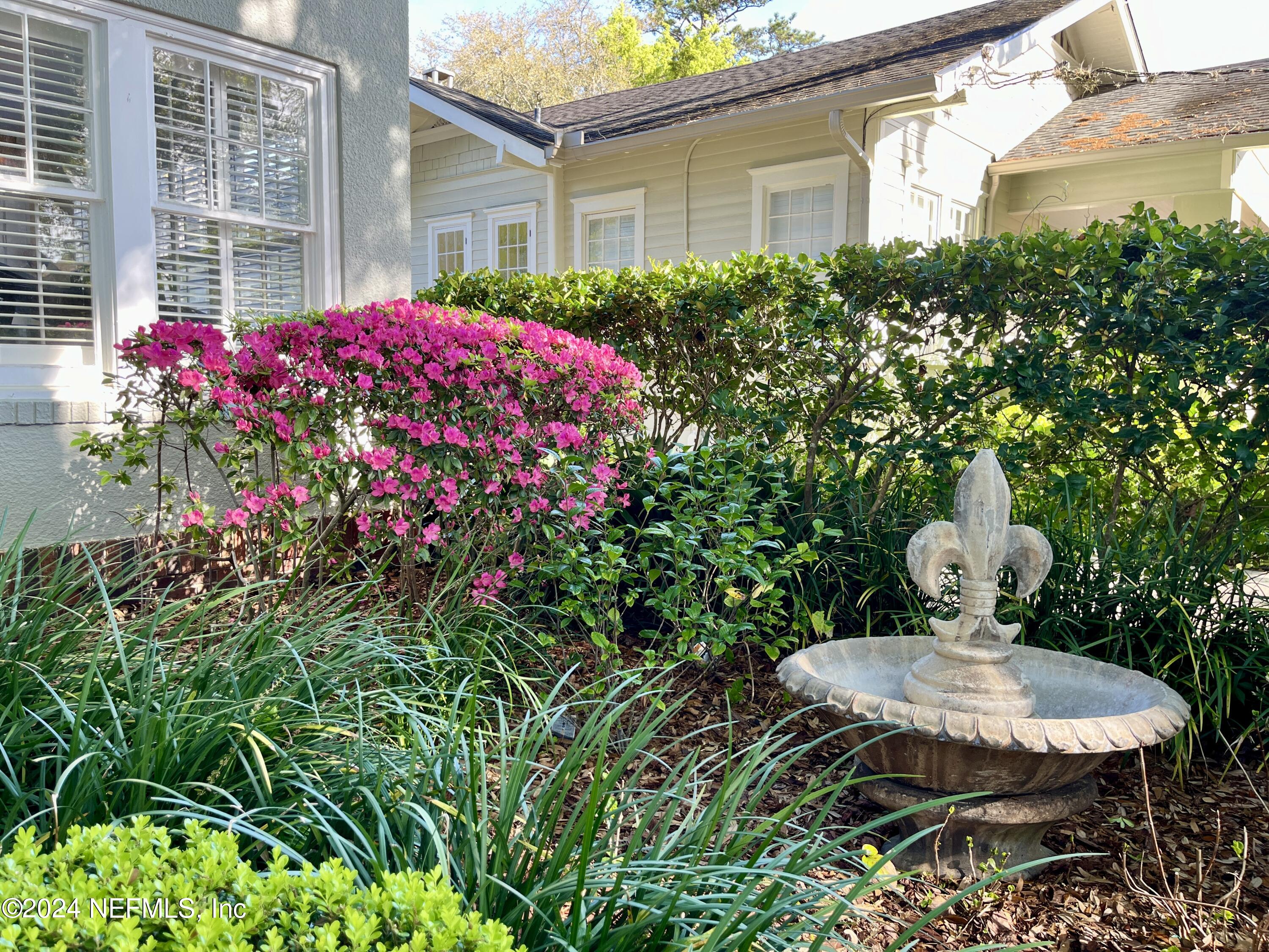 3665 Hedrick Street Jacksonville, FL 32205 - Photo 7 of 62 Spring Azeleas