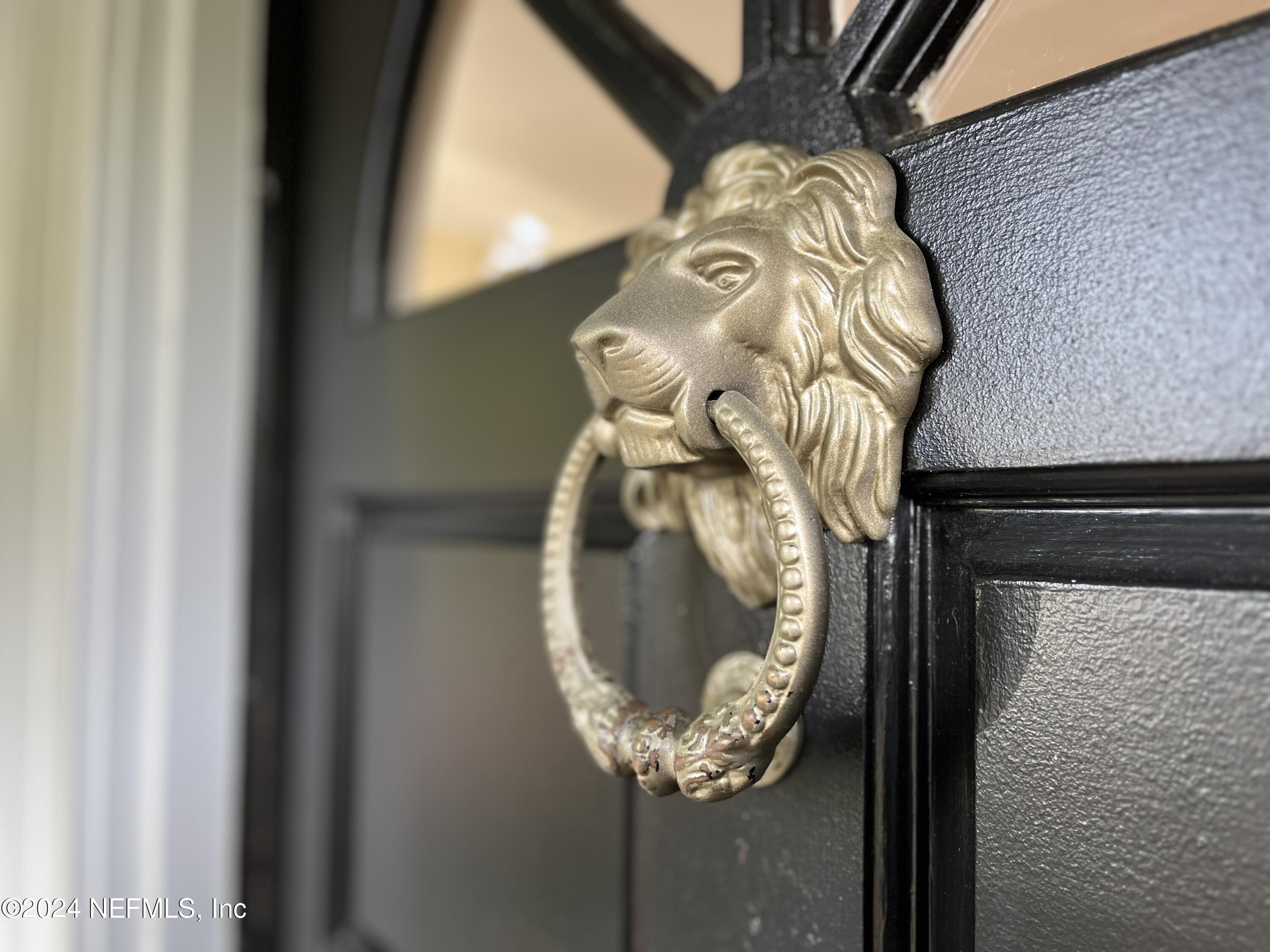 3665 Hedrick Street Jacksonville, FL 32205 - Photo 8 of 62 Lion's head door knocker