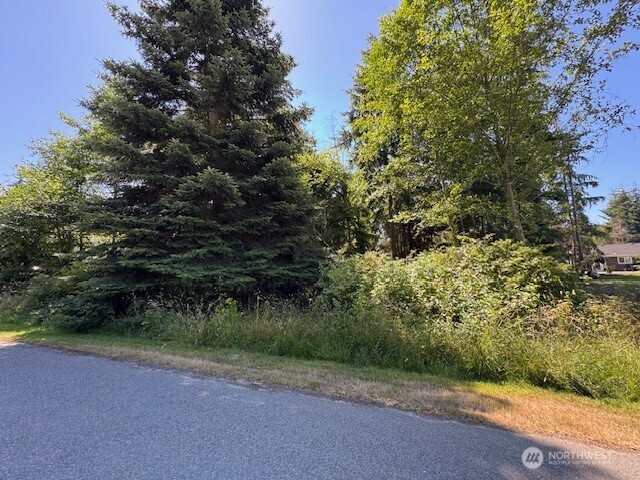 42 East Sycamore Road Coupeville, WA 98239 - Photo 2 of 2