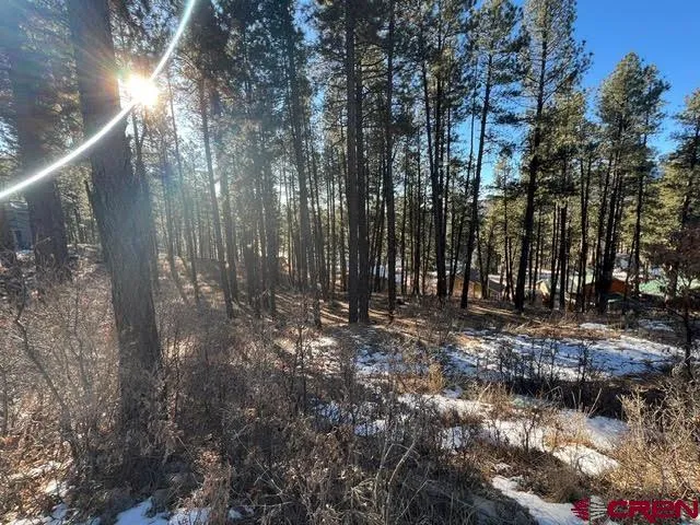 a view of outdoor space with trees