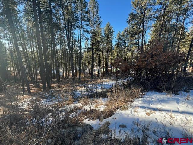 591 Mesa Drive Bayfield, CO 81122 - Photo 12 of 14 a view of swimming pool with a yard