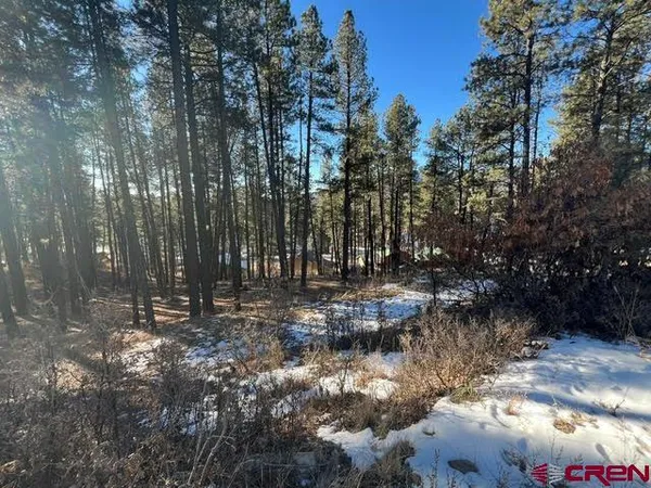 $70,000 | 591 Mesa Drive, Bayfield, CO 81122