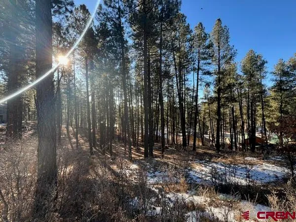$70,000 | 591 Mesa Drive, Bayfield, CO 81122
