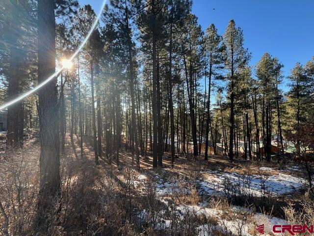 591 Mesa Drive Bayfield, CO 81122 - Photo 14 of 14 a view of outdoor space with trees