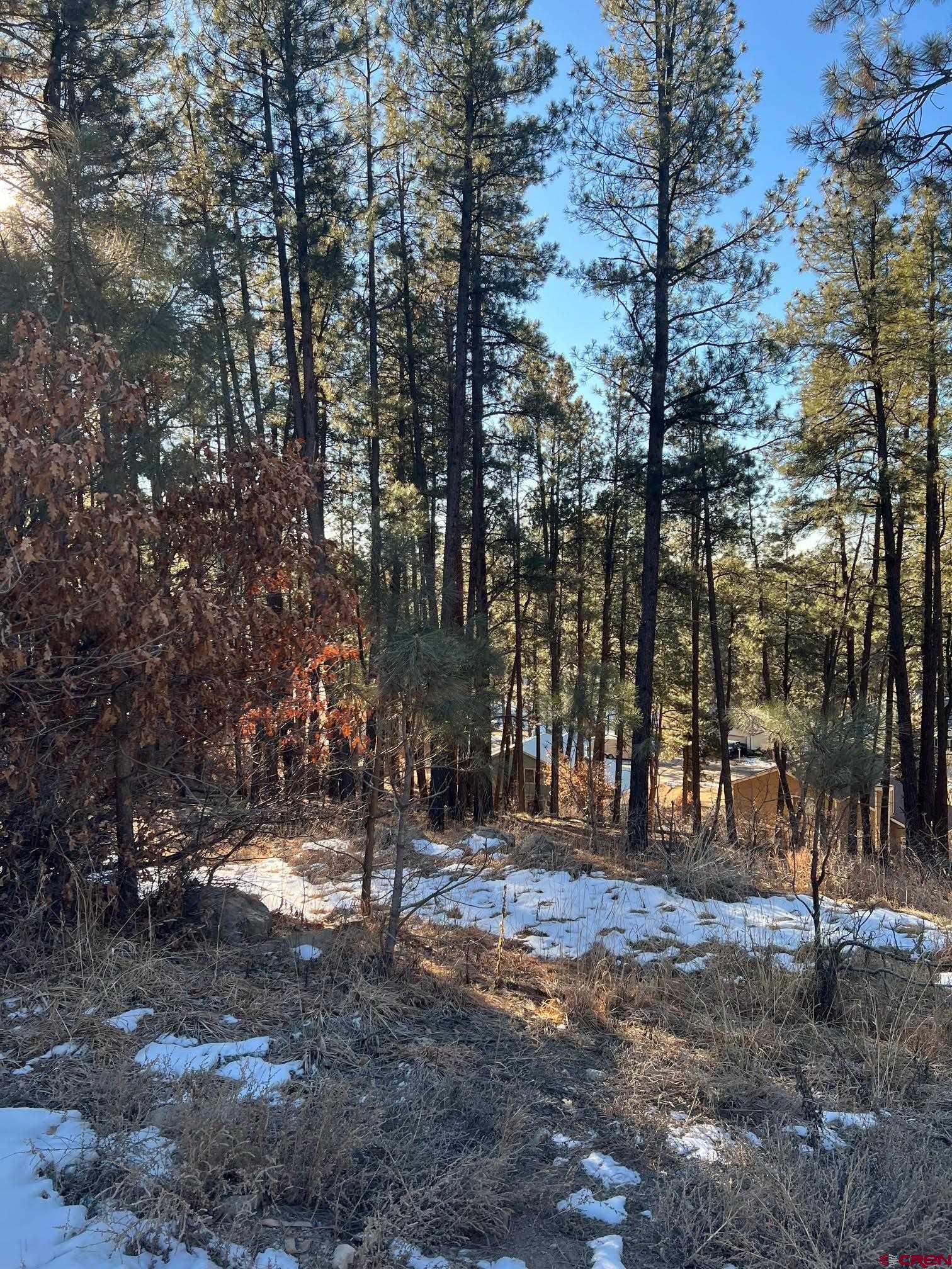 591 Mesa Drive Bayfield, CO 81122 - Photo 2 of 14 a view of road with trees