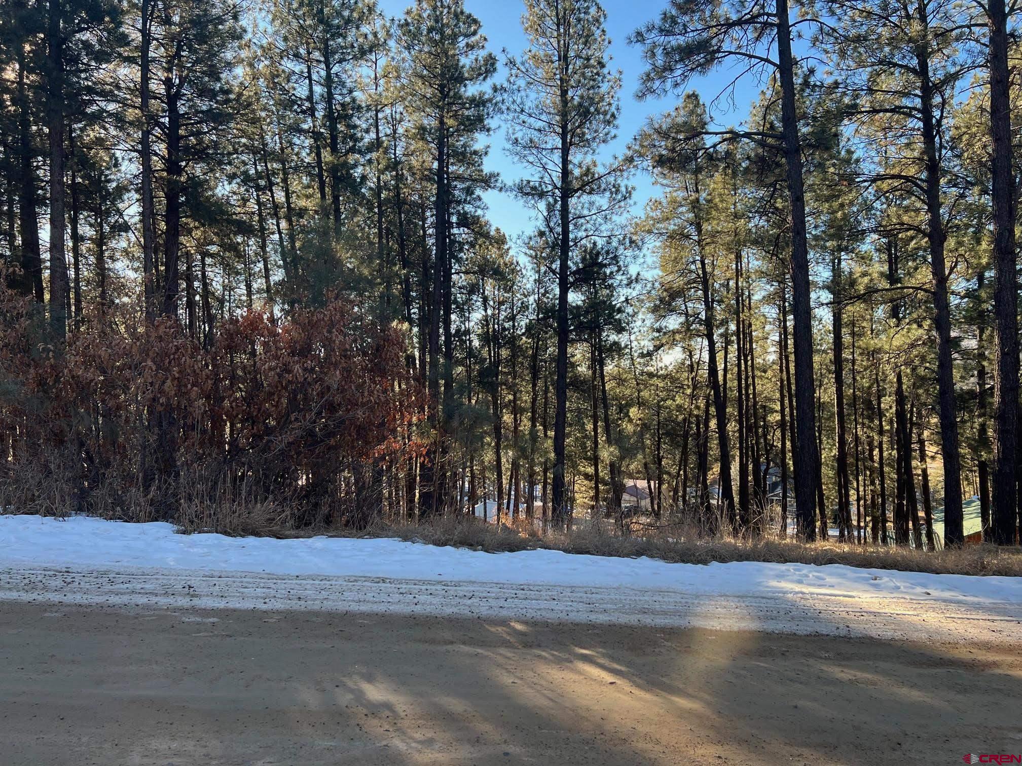 591 Mesa Drive Bayfield, CO 81122 - Photo 3 of 14 a view of a trees
