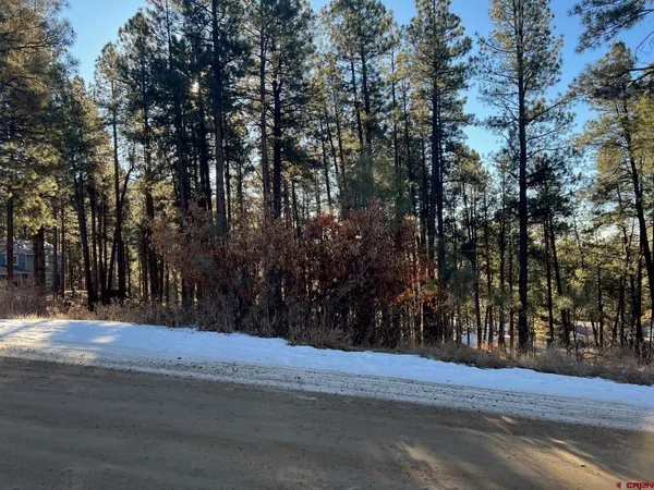 a view of street with trees