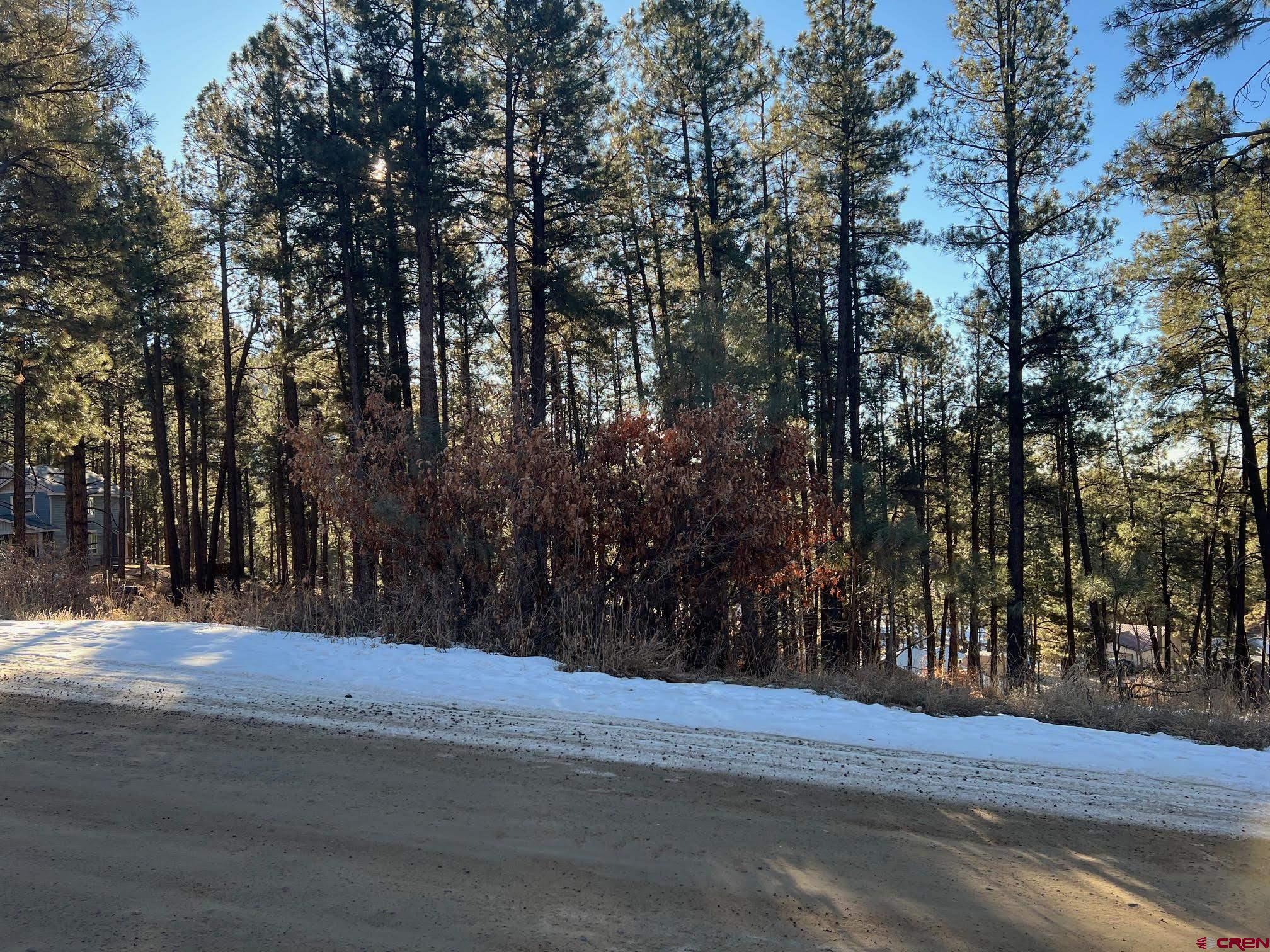 591 Mesa Drive Bayfield, CO 81122 - Photo 4 of 14