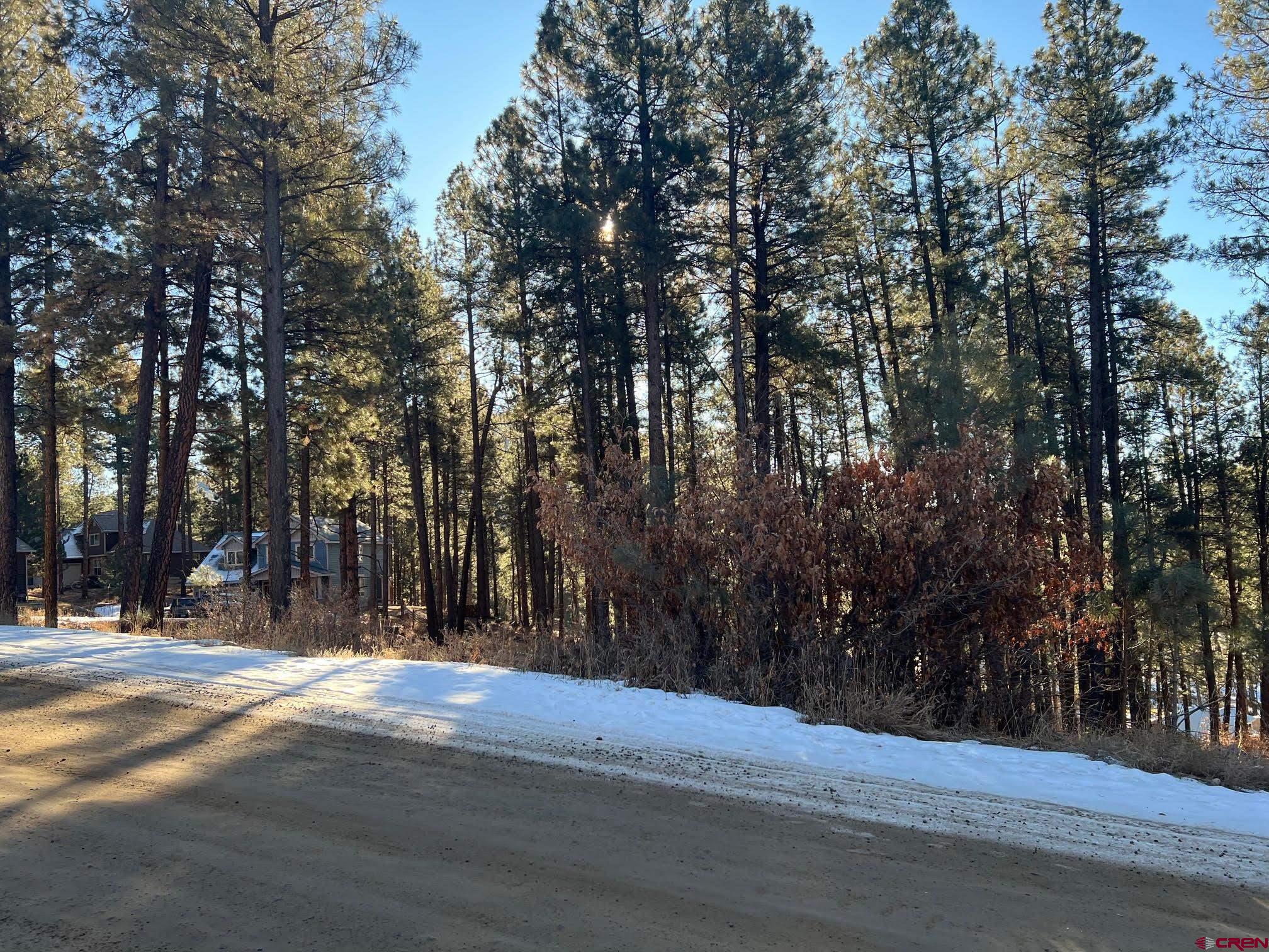 591 Mesa Drive Bayfield, CO 81122 - Photo 5 of 14 a view of street with trees