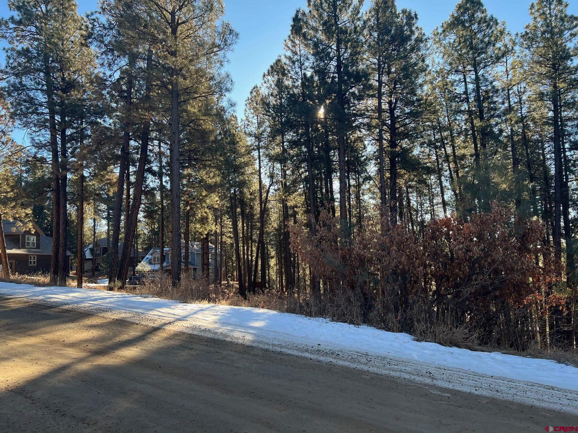 591 Mesa Drive Bayfield, CO 81122 - Photo 6 of 14 a view of road with trees