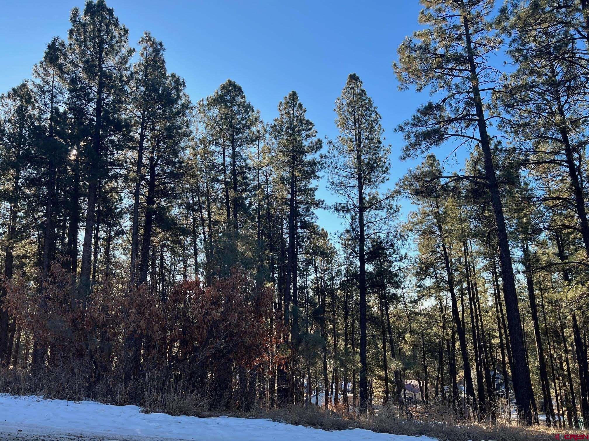 591 Mesa Drive Bayfield, CO 81122 - Photo 7 of 14