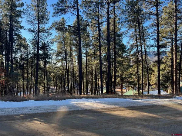 a view of outdoor space with lots of trees