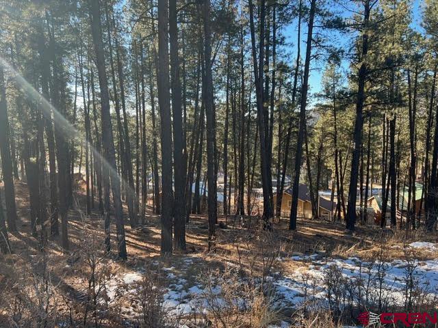 591 Mesa Drive Bayfield, CO 81122 - Photo 9 of 14 a view of outdoor space with lots of trees
