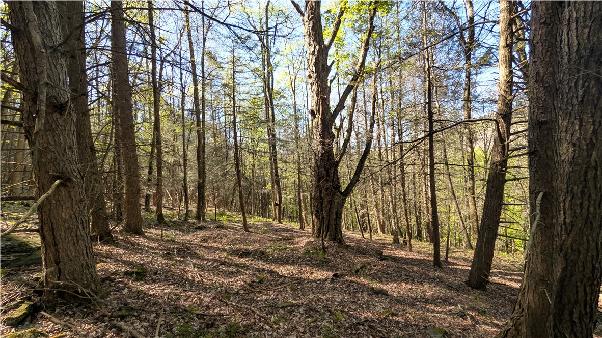 Lot 5 East River Road Andes, NY 13731 - Photo 27 of 39
