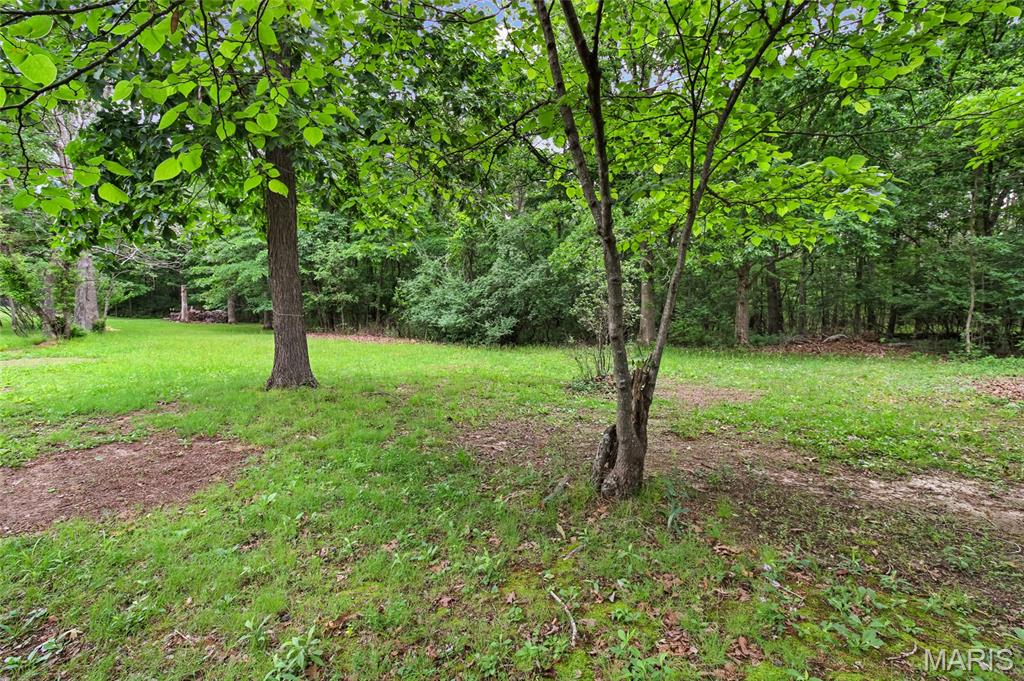 1485 Rue Riviera Bonne Terre, MO 63628 - Photo 27 of 95