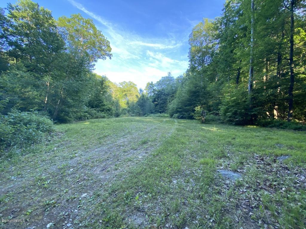 1080 Water Farm Road Sheffield, MA 01230 - Photo 1 of 11 thumb_IMG_9005_1024