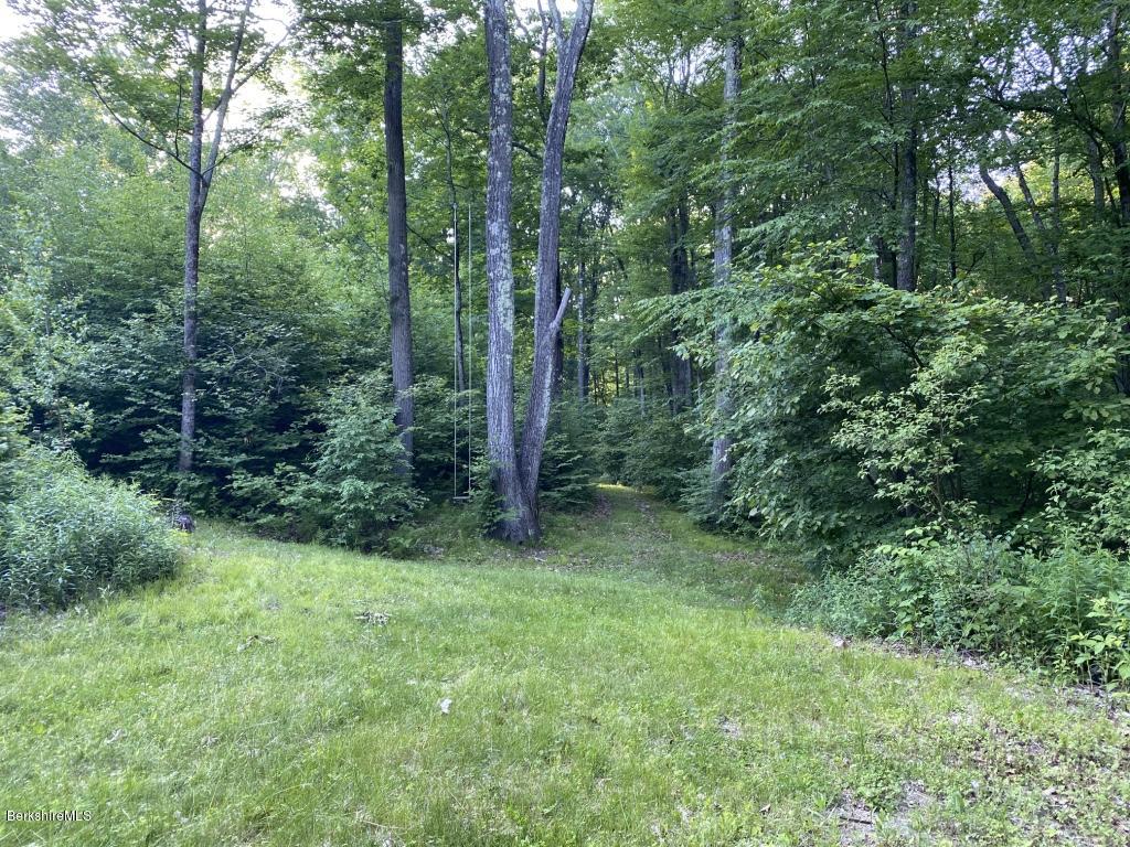 1080 Water Farm Road Sheffield, MA 01230 - Photo 2 of 11 thumb_IMG_8991_1024