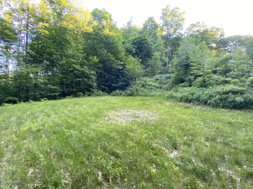 1080 Water Farm Road Sheffield, MA 01230 - Photo 3 of 11 thumb_IMG_8995_1024