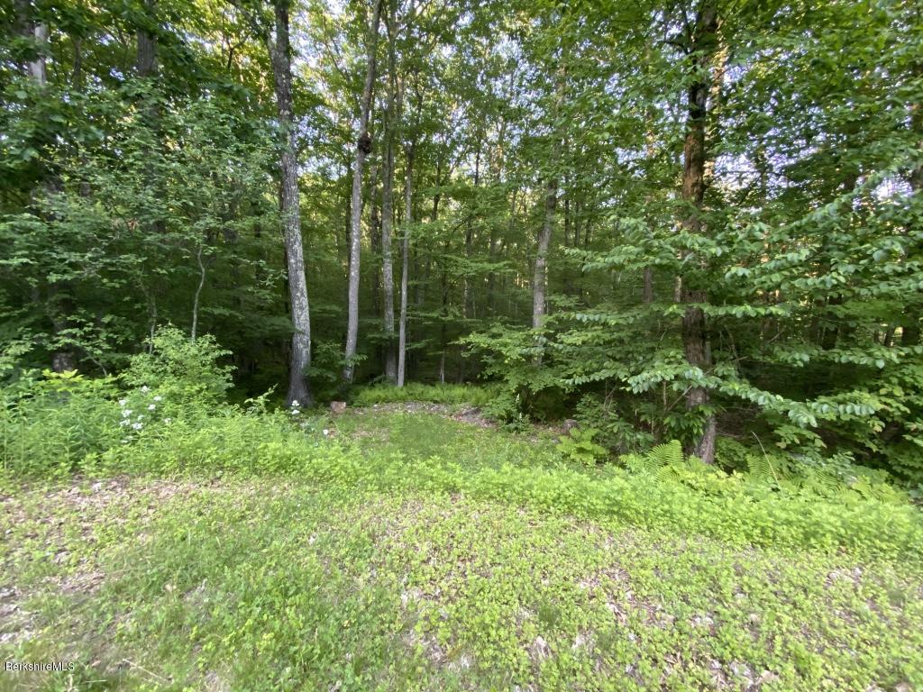 1080 Water Farm Road Sheffield, MA 01230 - Photo 4 of 11 thumb_IMG_8996_1024
