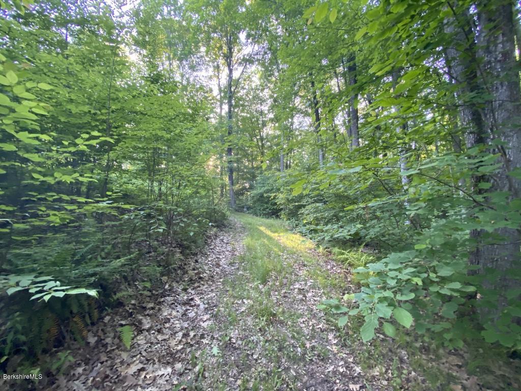 1080 Water Farm Road Sheffield, MA 01230 - Photo 5 of 11 thumb_IMG_8998_1024