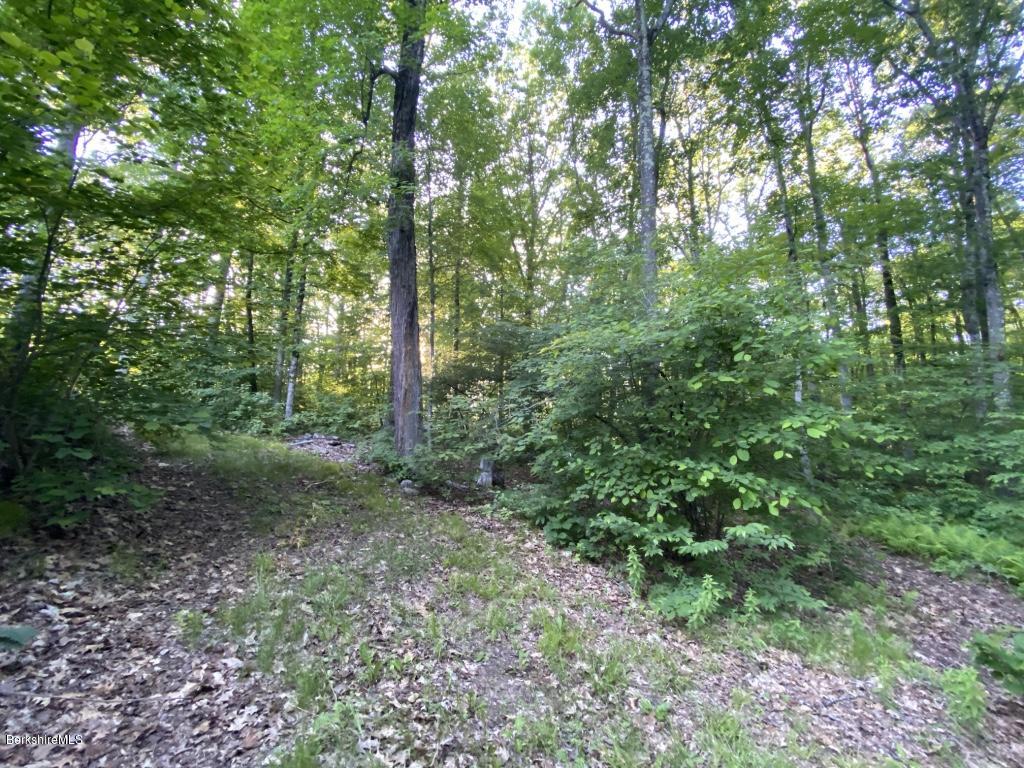 1080 Water Farm Road Sheffield, MA 01230 - Photo 6 of 11 thumb_IMG_8999_1024