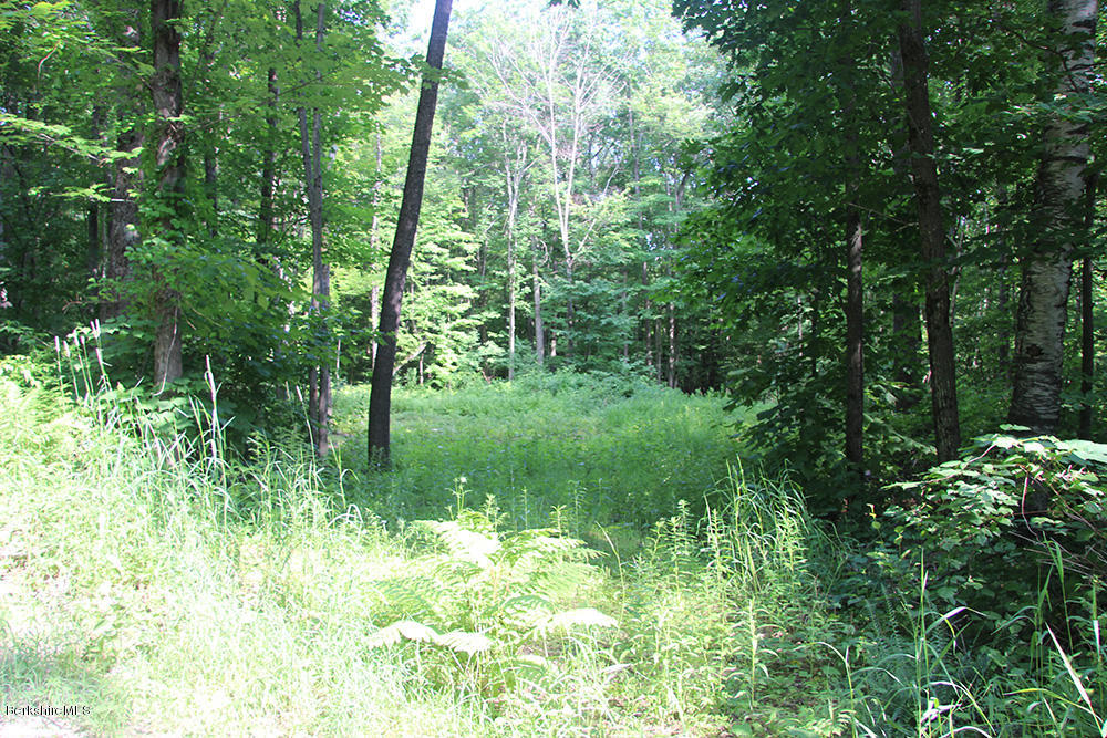 1080 Water Farm Road Sheffield, MA 01230 - Photo 8 of 11 2nd-PerkTested-lot