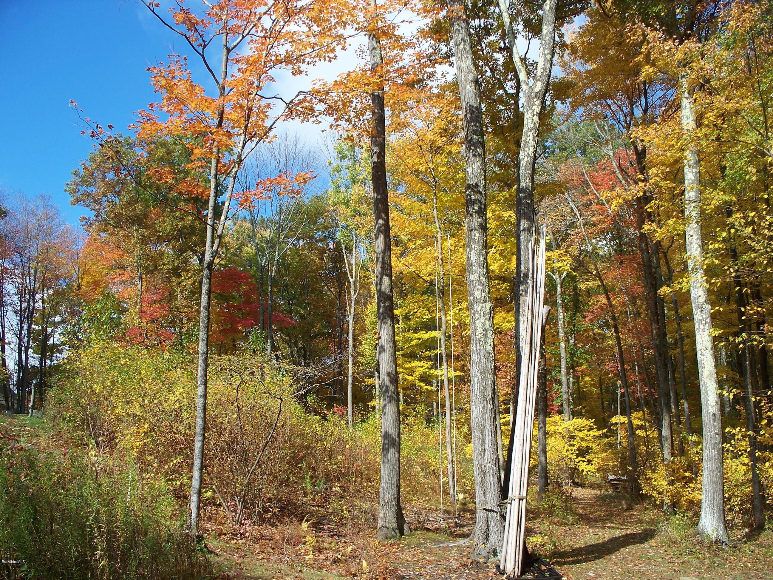 1080 Water Farm Road Sheffield, MA 01230 - Photo 9 of 11 024