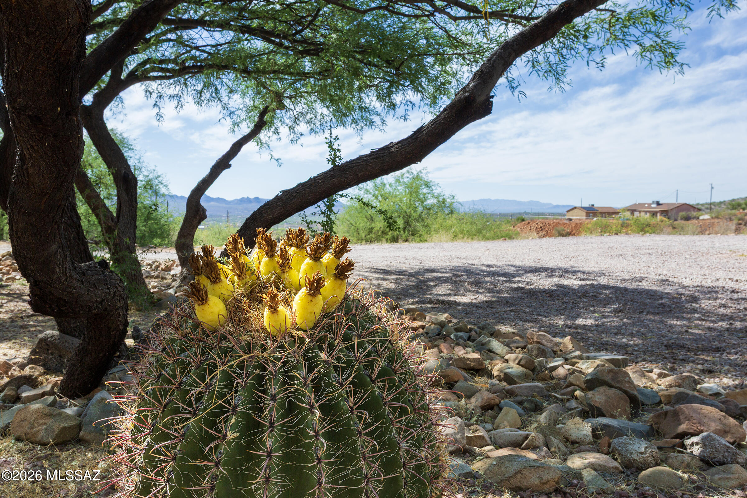 290 Via Mantaraya Rio Rico, AZ 85648 - Photo 40 of 50