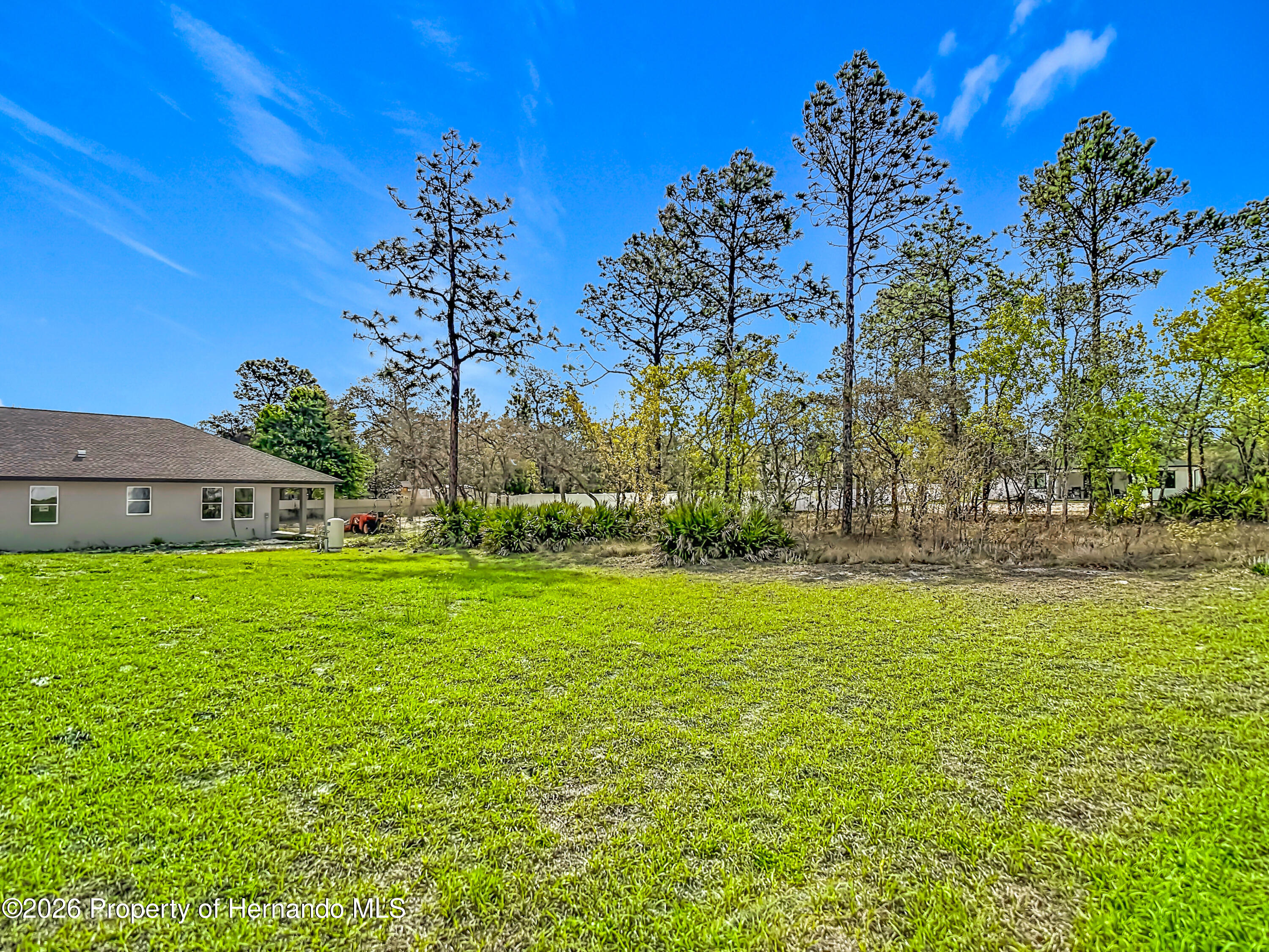 11374 Marcella Avenue Weeki Wachee, FL 34614 - Photo 64 of 70