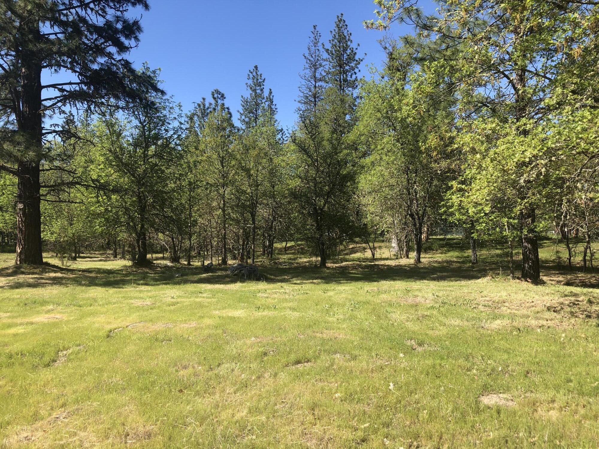 379 Latigo Ranch Road Williams, OR 97544 - Photo 29 of 36 IMG_5284