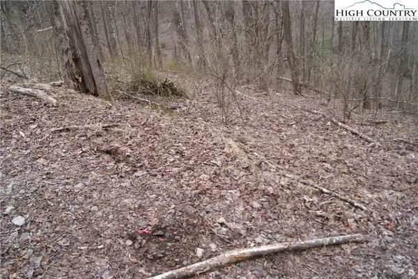 $30,300 | Lot 61 Forest Hill Drive, Sparta, NC 28675