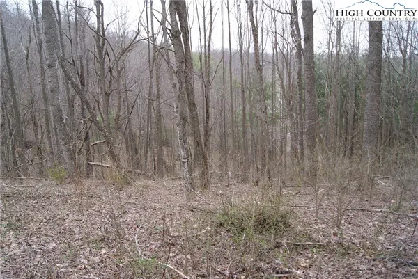 $30,300 | Lot 61 Forest Hill Drive, Sparta, NC 28675