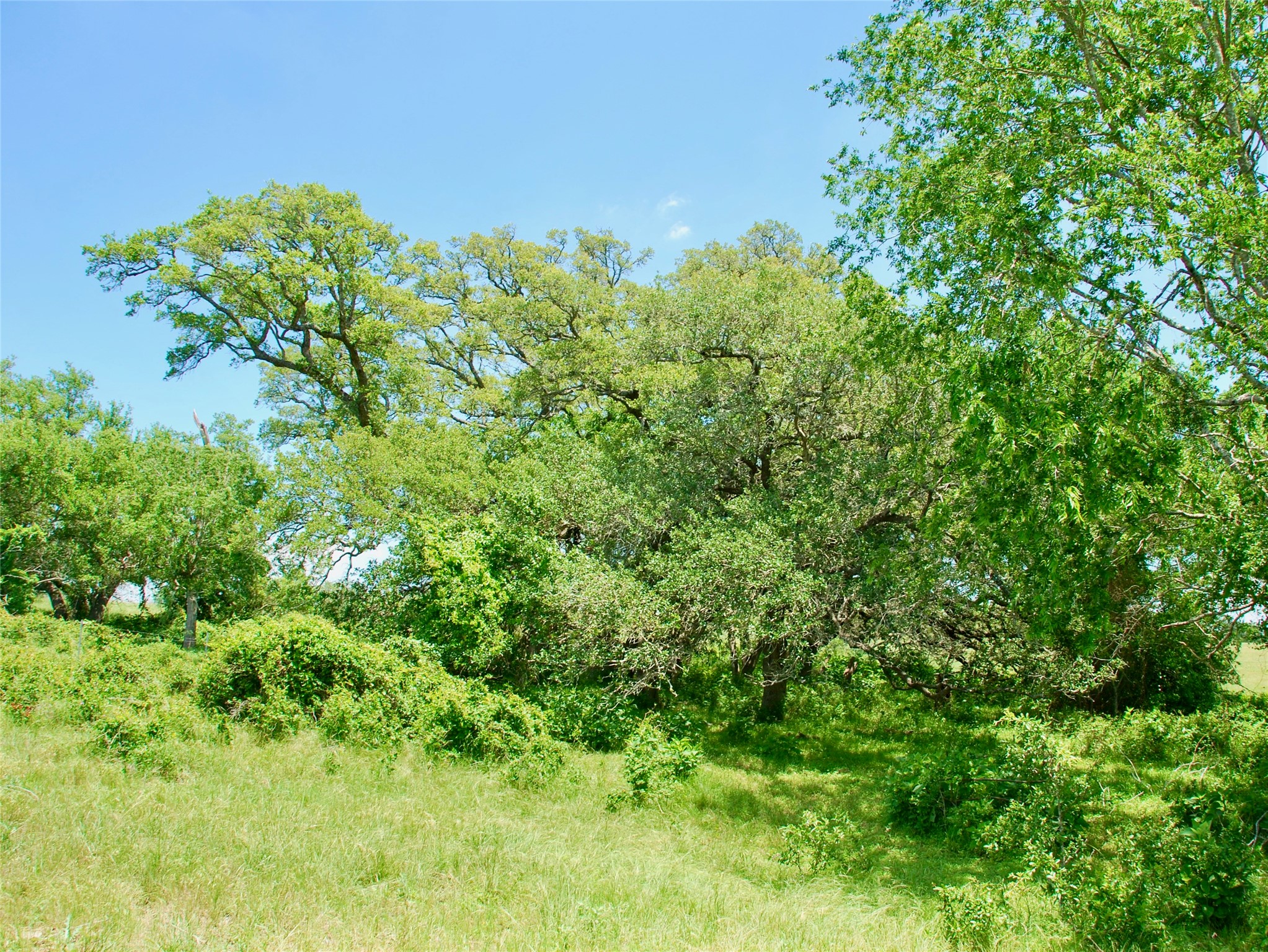 2072 Langdon Road Weimar, TX 78962 - Photo 11 of 18