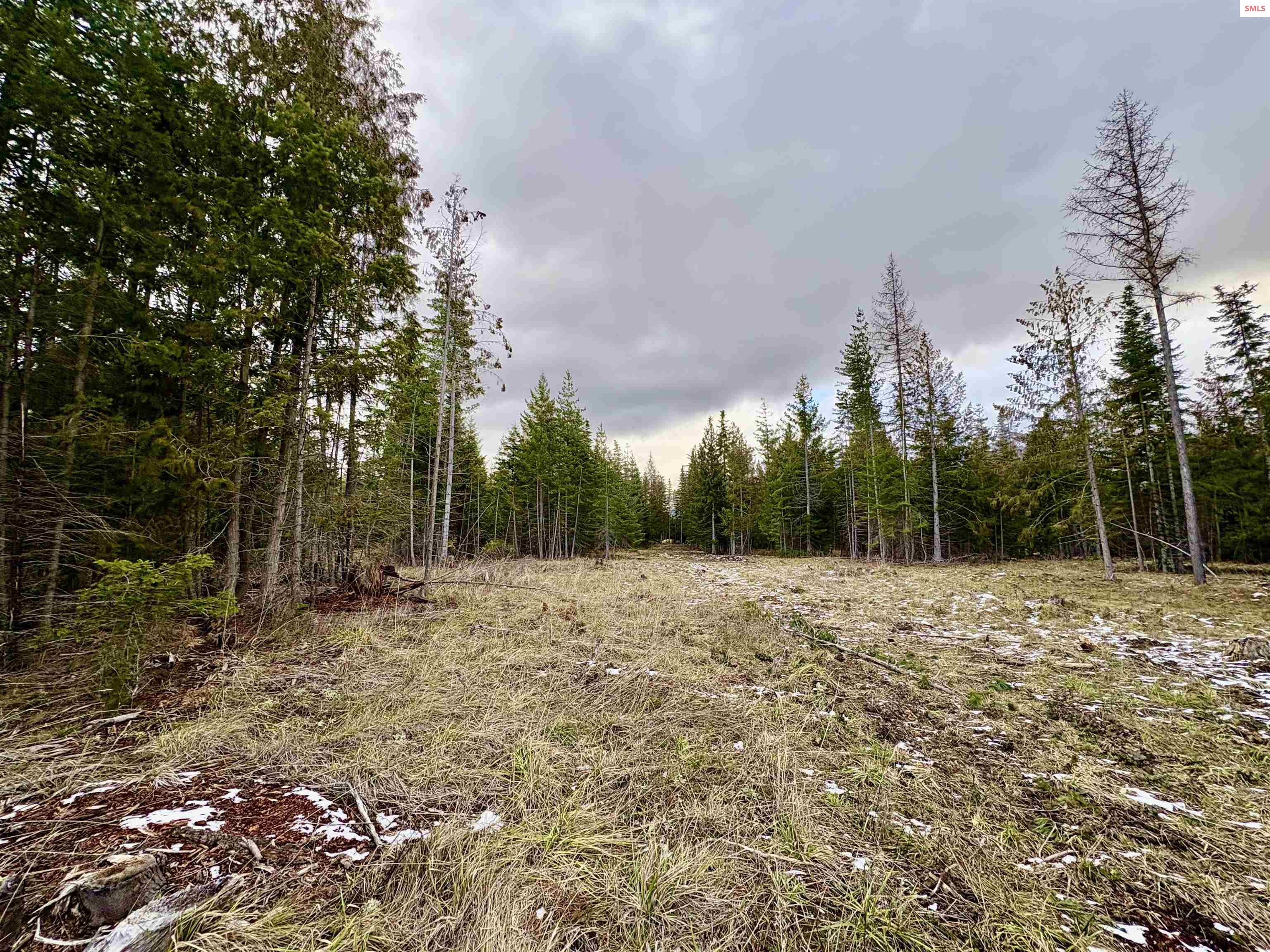 1-2 3 Lost Mile Road Naples, ID 83847 - Photo 19 of 25