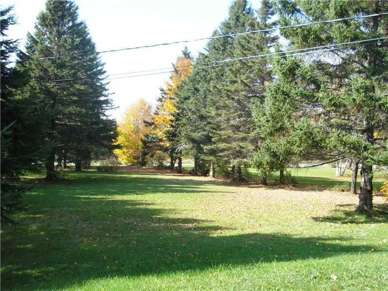 60 Capitol Hill Road New Sweden, ME 04762 - Photo 4 of 8 Yard/Garden.