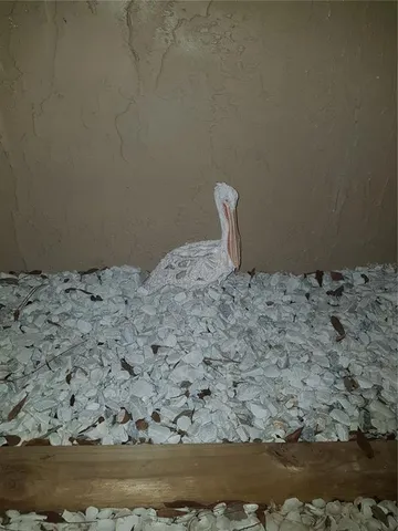 $2,095 | 311 58th Avenue East, Unit 311, Bradenton, FL 34203