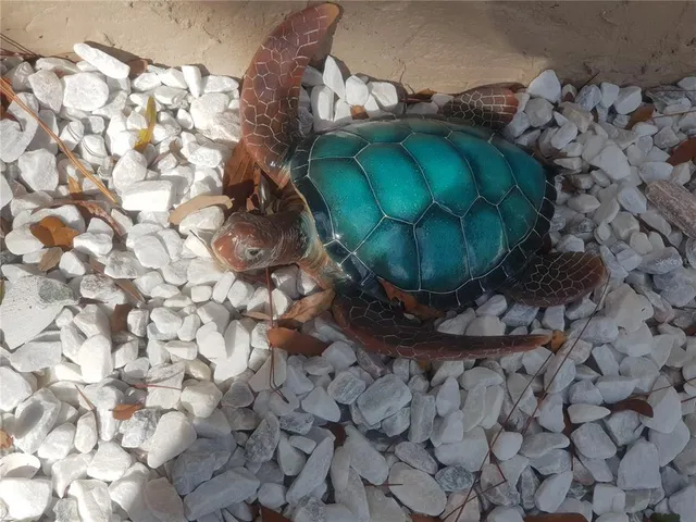 $2,095 | 311 58th Avenue East, Unit 311, Bradenton, FL 34203