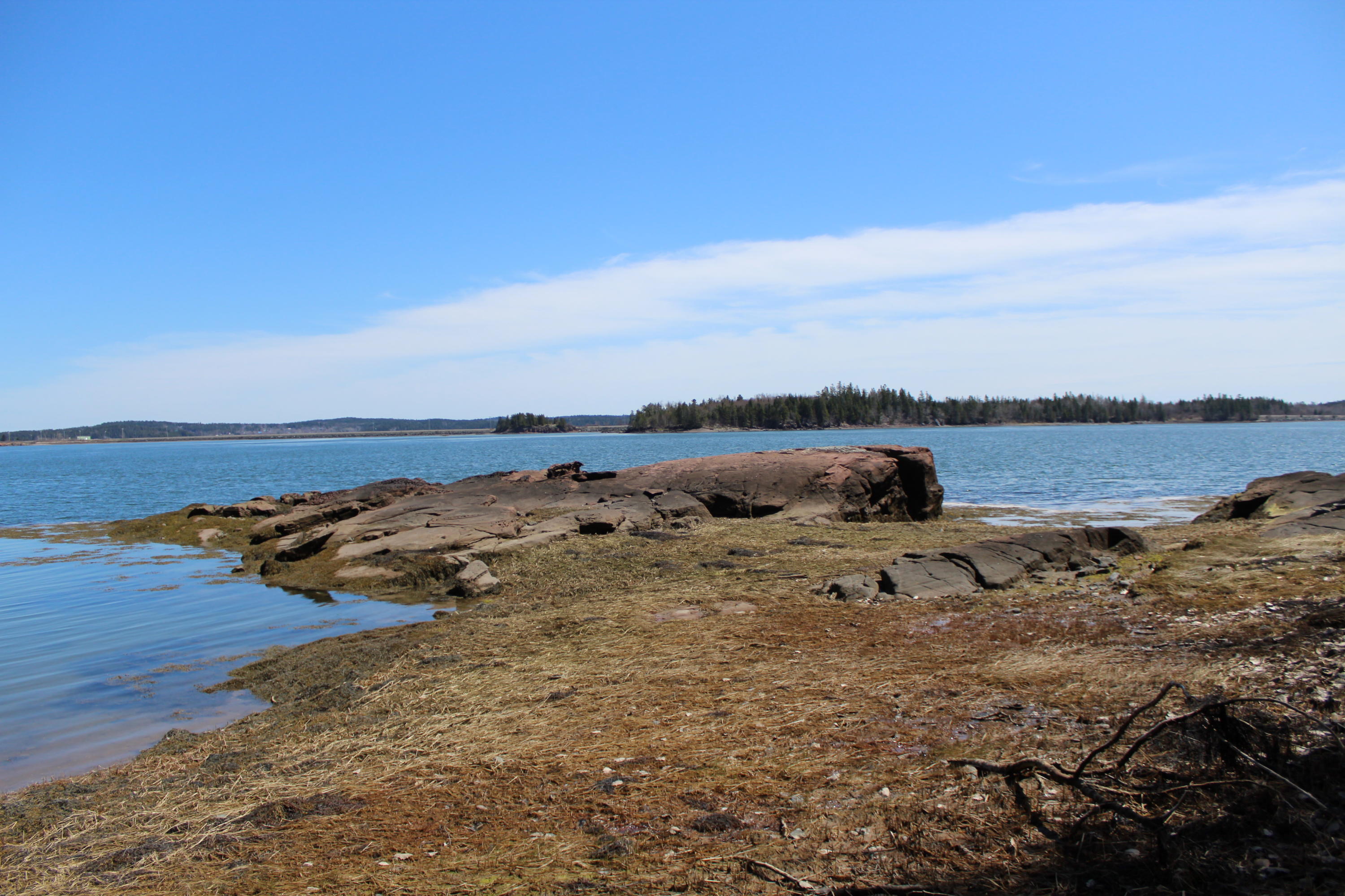 0 Old Eastport Road Perry, ME 04667 - Photo 14 of 25 IMG_3509