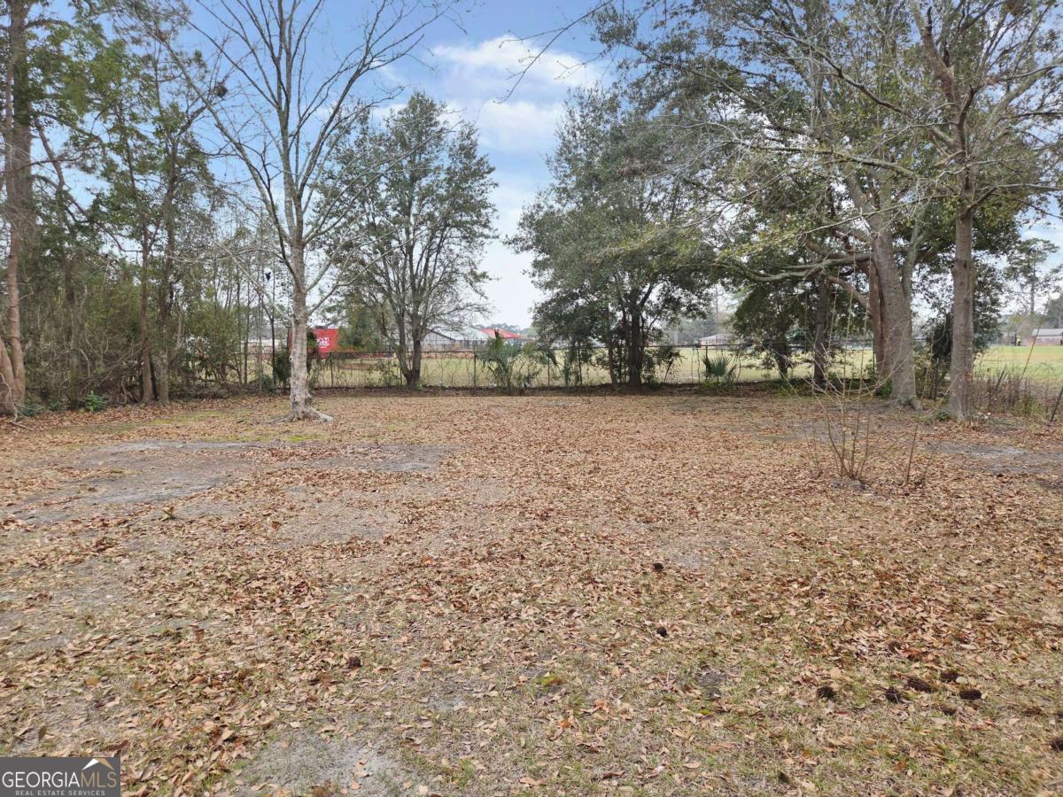 188 Holmesville Road Baxley, GA 31513 - Photo 20 of 20 a backyard of a house with lots of green space