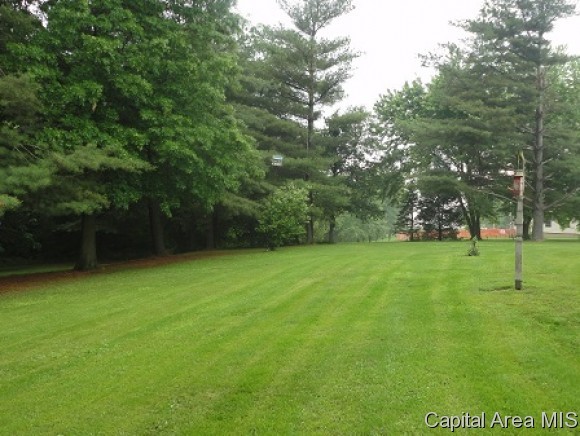 512 East 900 North Road Morrisonville, IL 62546 - Photo 16 of 18 Gallery Image 16